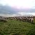 Carpathians